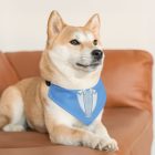 7271920347710000005_2048jpeg - TuxedoTshirt.com