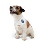 8463890336982107699_2048jpeg - TuxedoTshirt.com